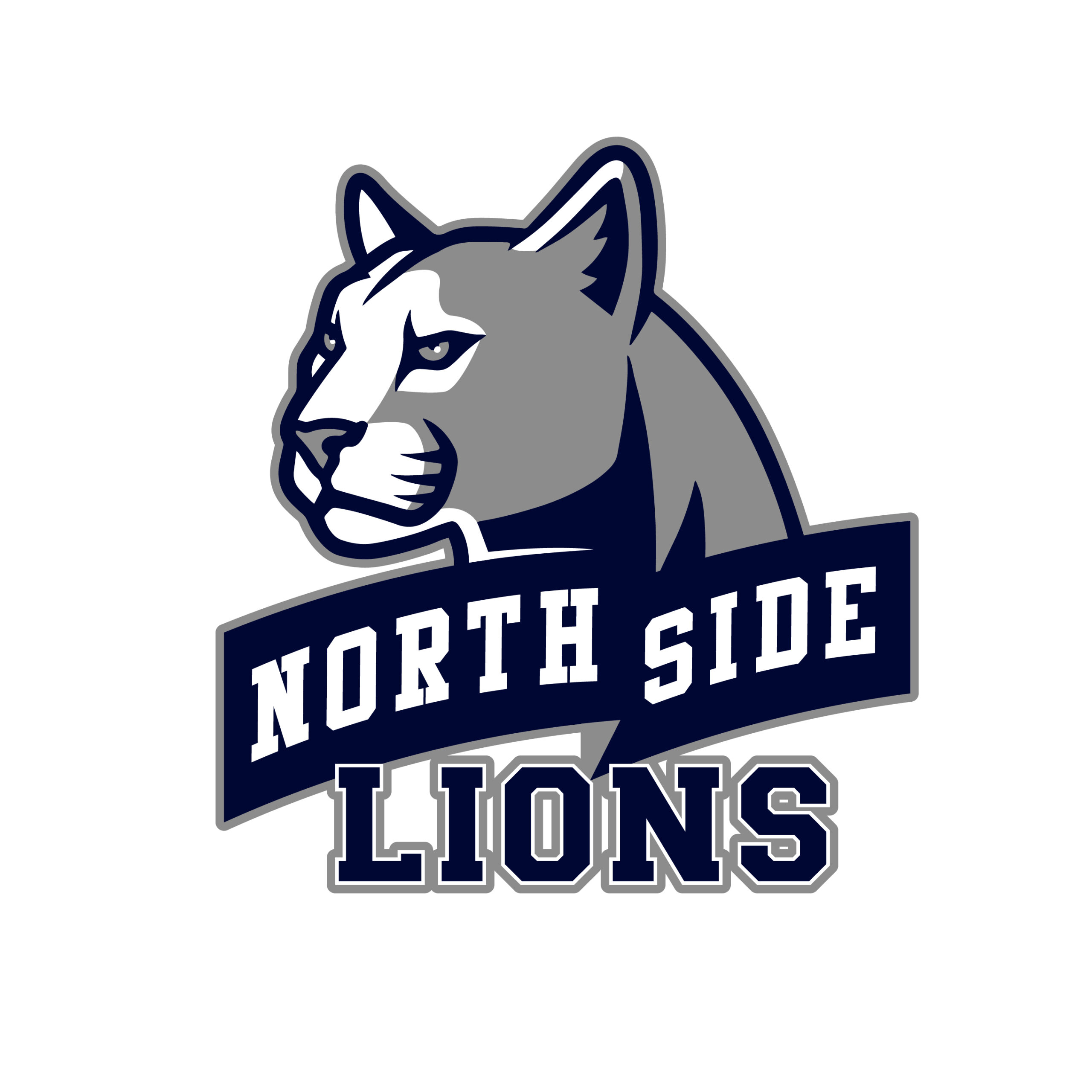 NSL_Banner